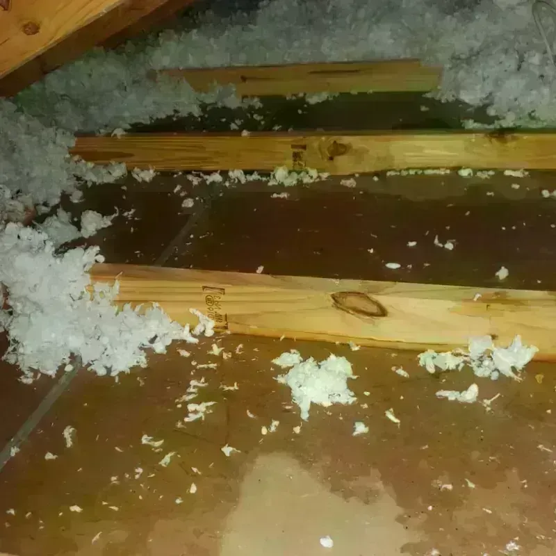 Attic Water Damage in Southern Gateway, VA